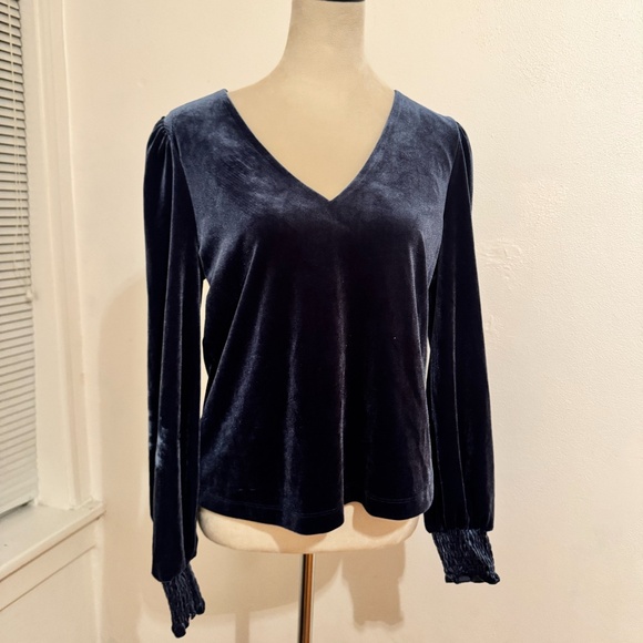 Navy Blue Velvet V-Neck Puff Sleeve Top by EVEREVE - Picture 1 of 4